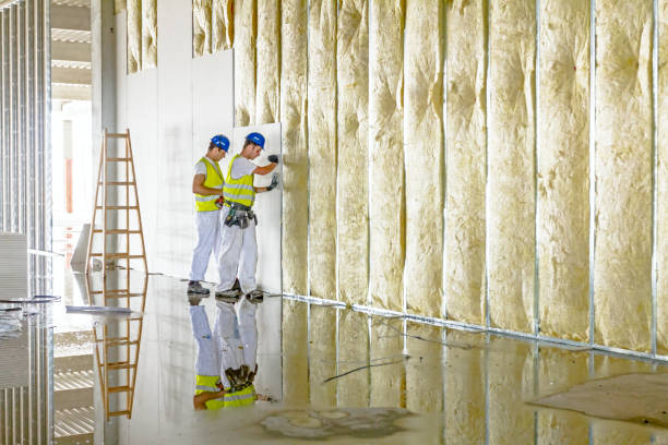 Best DIY Insulation Kits and Guidance in New Town, ND